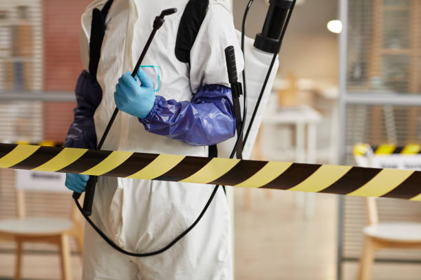 Professional Sewage Cleanup technician working in Sunnyside, CA
